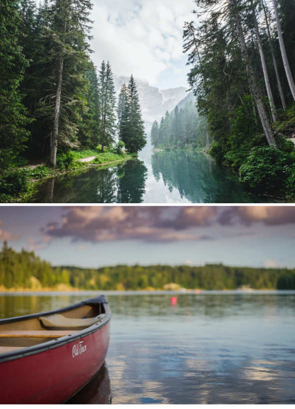 forest and a red canoe