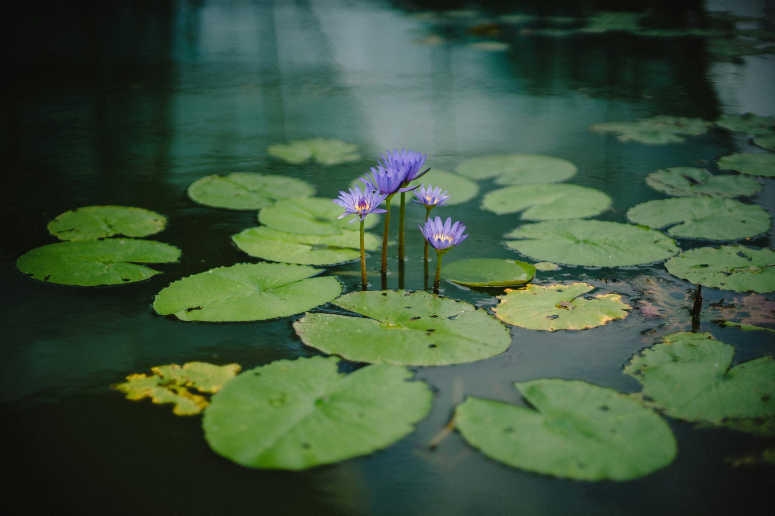 bady-abbas-XAkPN7aEGJM-unsplash two happy and smiling women