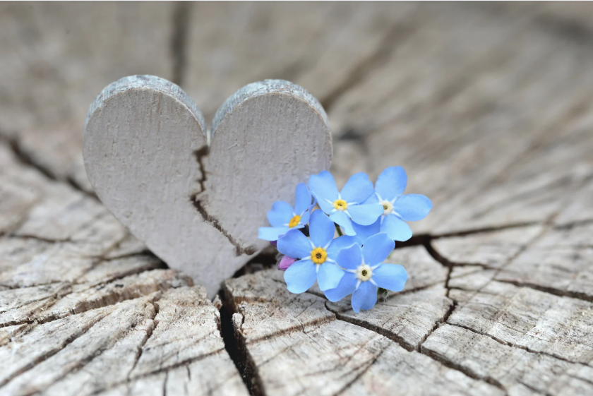 95. The Ten Core Wounds of Betrayal